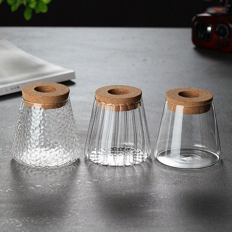 Creative Glass Ecological Decor: Start a Miniature Natural Life 🐟🌱