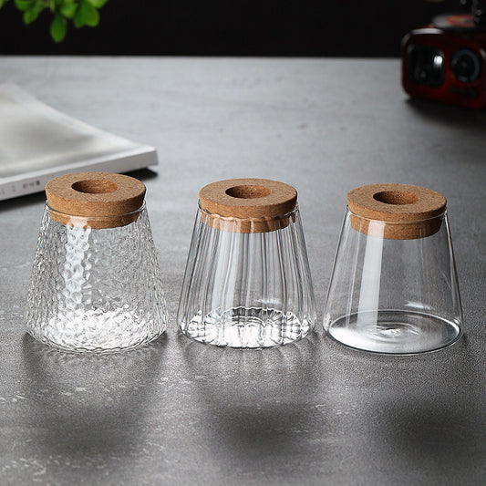 Creative Glass Ecological Decor: Start a Miniature Natural Life 🐟🌱