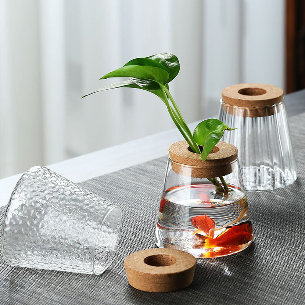 Creative Glass Ecological Decor: Start a Miniature Natural Life 🐟🌱