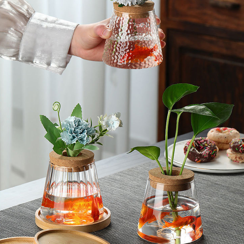 Creative Glass Ecological Decor: Start a Miniature Natural Life 🐟🌱